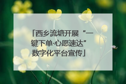西乡流塘开展“一键下单·心愿速达”数字化平台宣传