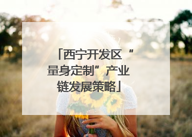 西宁开发区“量身定制”产业链发展策略