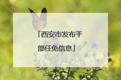 西安市发布干部任免信息