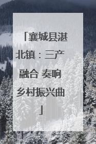 襄城县湛北镇：三产融合 奏响乡村振兴曲
