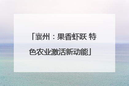 襄州：果香虾跃 特色农业激活新动能