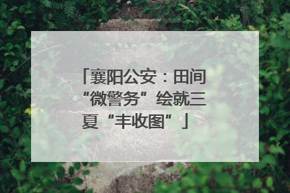 襄阳公安：田间“微警务”绘就三夏“丰收图”