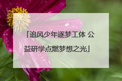 追风少年逐梦工体 公益研学点燃梦想之光