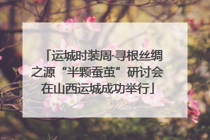 运城时装周·寻根丝绸之源“半颗蚕茧”研讨会在山西运城成功举行