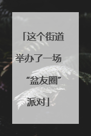 这个街道举办了一场“盆友圈”派对