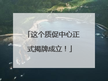 这个质促中心正式揭牌成立！