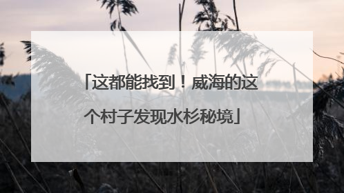 这都能找到！威海的这个村子发现水杉秘境