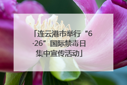 连云港市举行“6·26”国际禁毒日集中宣传活动
