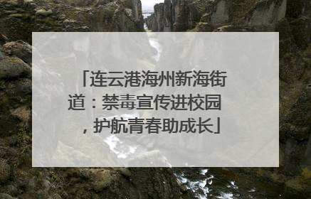 连云港海州新海街道：禁毒宣传进校园，护航青春助成长
