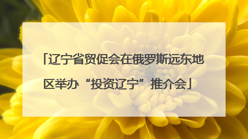 辽宁省贸促会在俄罗斯远东地区举办“投资辽宁”推介会
