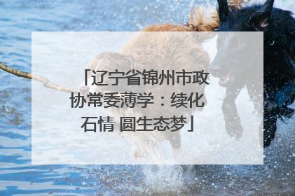 辽宁省锦州市政协常委薄学：续化石情 圆生态梦
