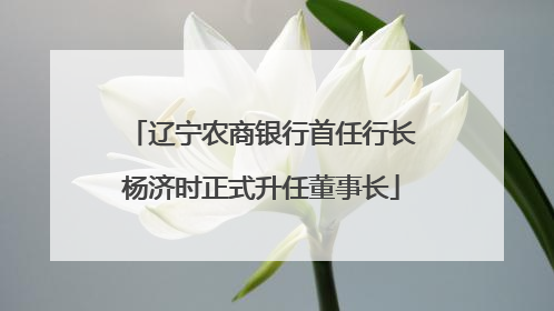 辽宁农商银行首任行长杨济时正式升任董事长