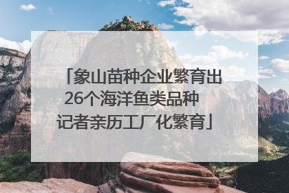 象山苗种企业繁育出26个海洋鱼类品种 记者亲历工厂化繁育