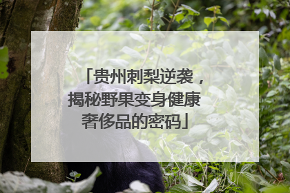 贵州刺梨逆袭，揭秘野果变身健康奢侈品的密码