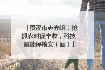 贵溪市志光镇：抢抓农时促丰收，科技赋能保粮安（图）
