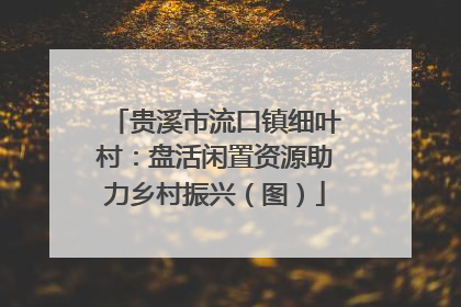 贵溪市流口镇细叶村：盘活闲置资源助力乡村振兴（图）