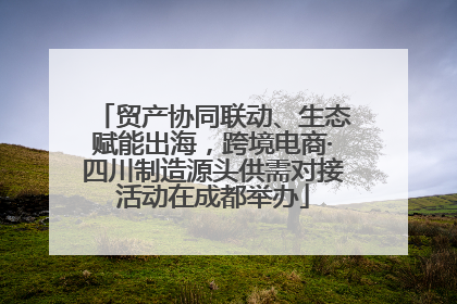 贸产协同联动、生态赋能出海，跨境电商·四川制造源头供需对接活动在成都举办