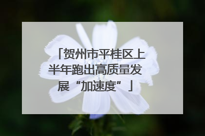 贺州市平桂区上半年跑出高质量发展“加速度”