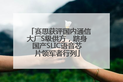 赛思获评国内通信大厂S级供方，跻身国产SLIC语音芯片领军者行列