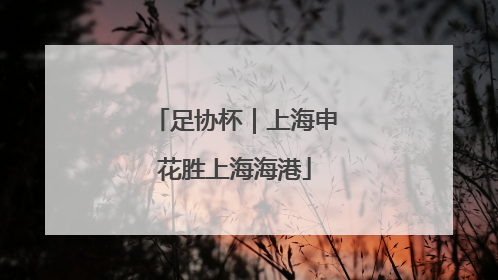 足协杯｜上海申花胜上海海港