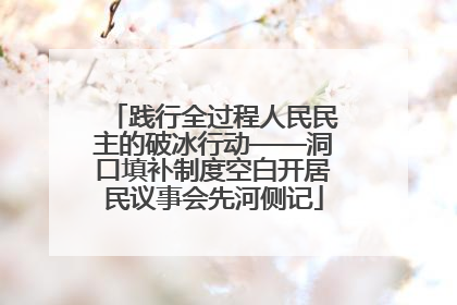 践行全过程人民民主的破冰行动——洞口填补制度空白开居民议事会先河侧记