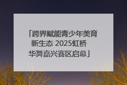 跨界赋能青少年美育新生态 2025虹桥华舞嘉兴赛区启幕
