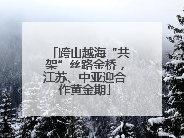 跨山越海“共架”丝路金桥，江苏、中亚迎合作黄金期