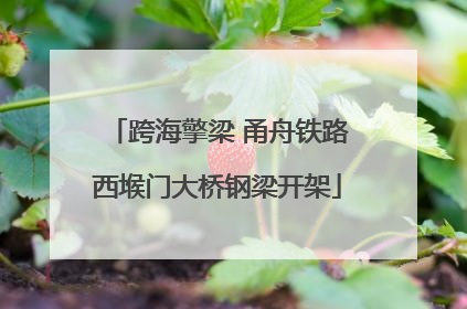 跨海擎梁 甬舟铁路西堠门大桥钢梁开架
