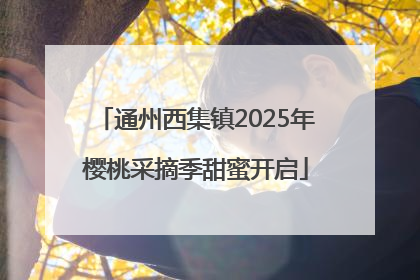通州西集镇2025年樱桃采摘季甜蜜开启