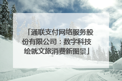 通联支付网络服务股份有限公司：数字科技绘就文旅消费新图景