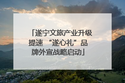 遂宁文旅产业升级提速 “遂心礼”品牌外宣战略启动