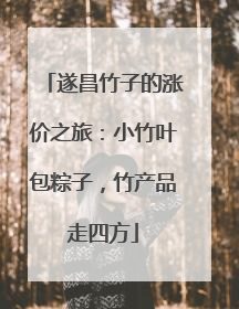 遂昌竹子的涨价之旅：小竹叶包粽子，竹产品走四方