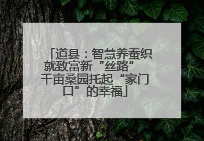 道县：智慧养蚕织就致富新“丝路” 千亩桑园托起“家门口”的幸福