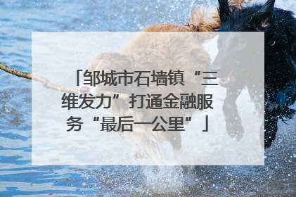 邹城市石墙镇“三维发力”打通金融服务“最后一公里”