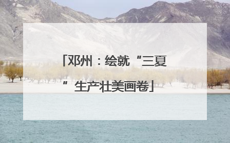 邓州：绘就“三夏”生产壮美画卷