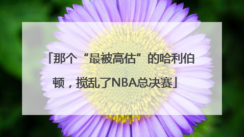 那个“最被高估”的哈利伯顿，搅乱了NBA总决赛
