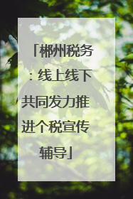 郴州税务：线上线下共同发力推进个税宣传辅导