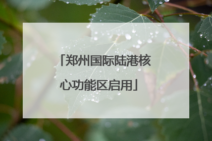 郑州国际陆港核心功能区启用