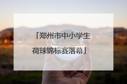 郑州市中小学生荷球锦标赛落幕