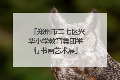 郑州市二七区兴华小学教育集团举行书画艺术展