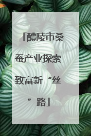 醴陵市桑蚕产业探索致富新“丝”路