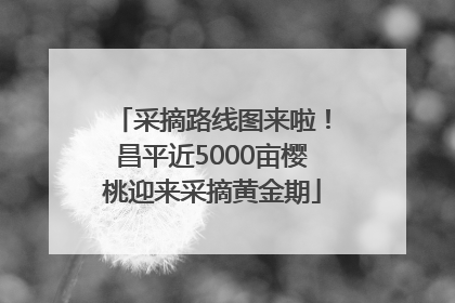 采摘路线图来啦！昌平近5000亩樱桃迎来采摘黄金期