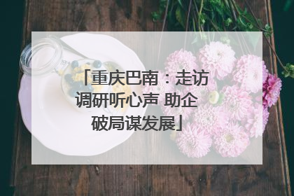 重庆巴南：走访调研听心声 助企破局谋发展