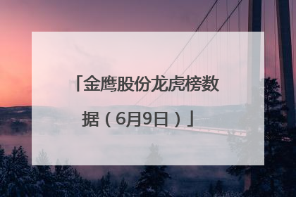 金鹰股份龙虎榜数据（6月9日）