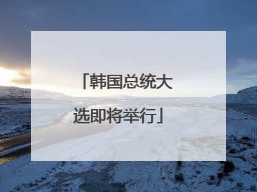 韩国总统大选即将举行