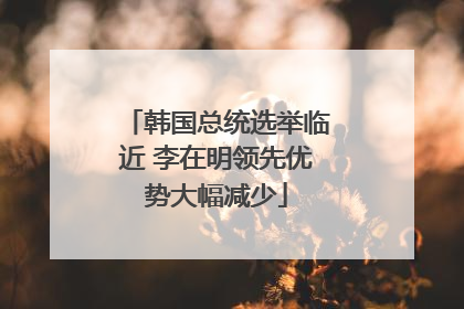 韩国总统选举临近 李在明领先优势大幅减少