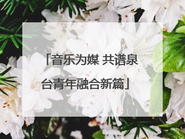 音乐为媒 共谱泉台青年融合新篇