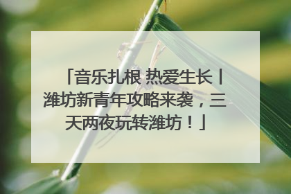 音乐扎根 热爱生长丨潍坊新青年攻略来袭，三天两夜玩转潍坊！