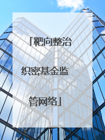 靶向整治织密基金监管网络