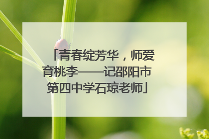 青春绽芳华，师爱育桃李——记邵阳市第四中学石琼老师